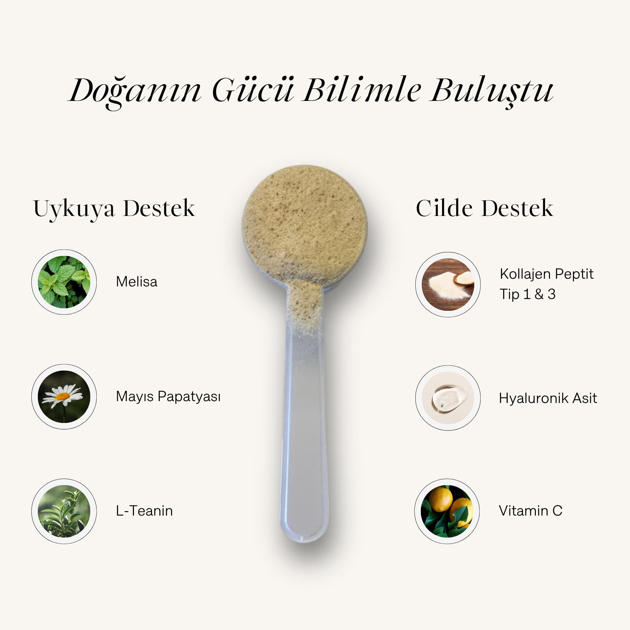 "Doğanın Gücü Bilimle Buluştu" başlıklı infografik. Ortada DreamGlow tozunu içeren bir kaşık ve etrafında uykuya ve cilde destek olan Melisa, Mayıs Papatyası, L-Teanin, Kolajen Peptit, Hyaluronik Asit ve Vitamin C içerikleri gösteriliyor.