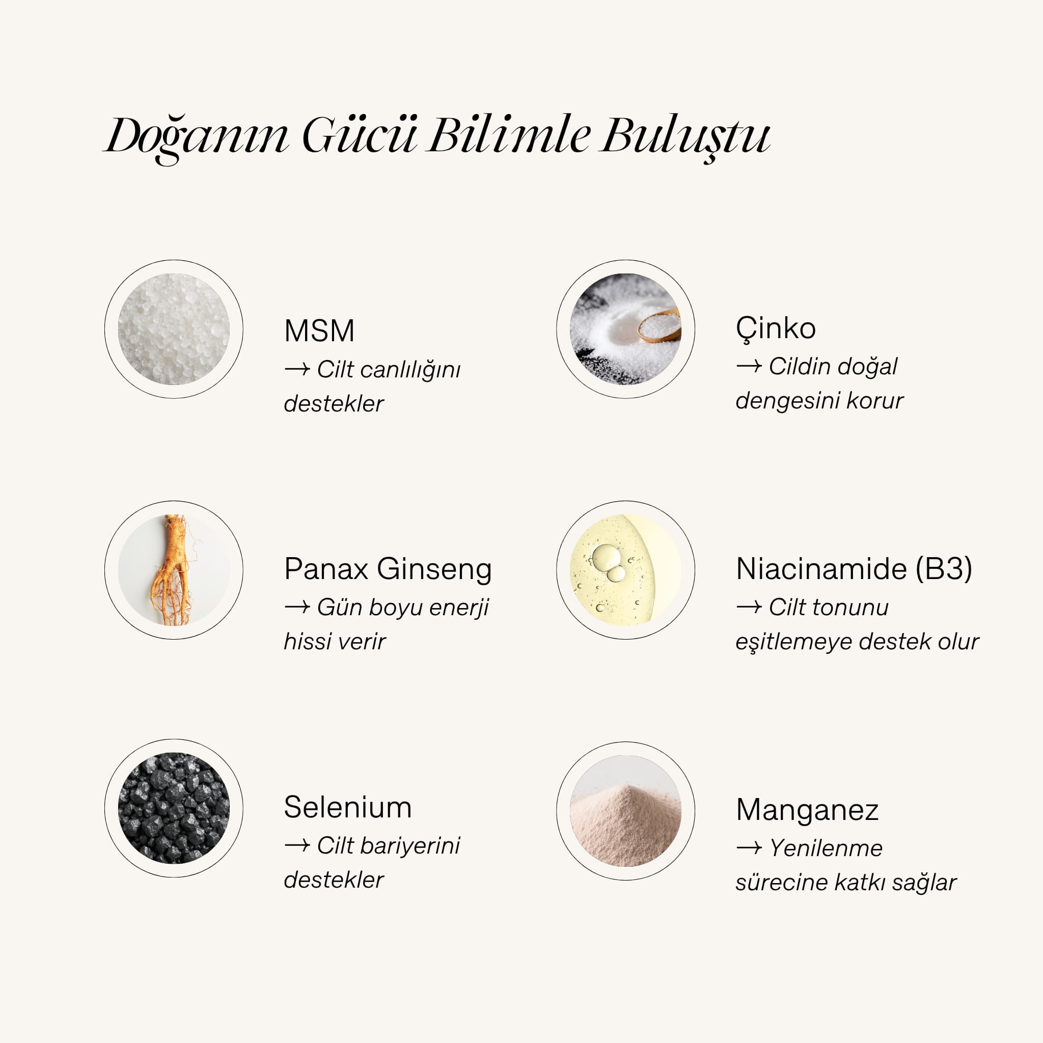 "Doğanın Gücü Bilimle Buluştu" başlıklı içerik infografiği. Görselde Cyrasoul DailyGlow'un içerisindeki MSM, Çinko, Panax Ginseng, Niacinamide (B3), Selenium ve Manganez gibi bileşenler ve cilde olan faydaları listeleniyor.