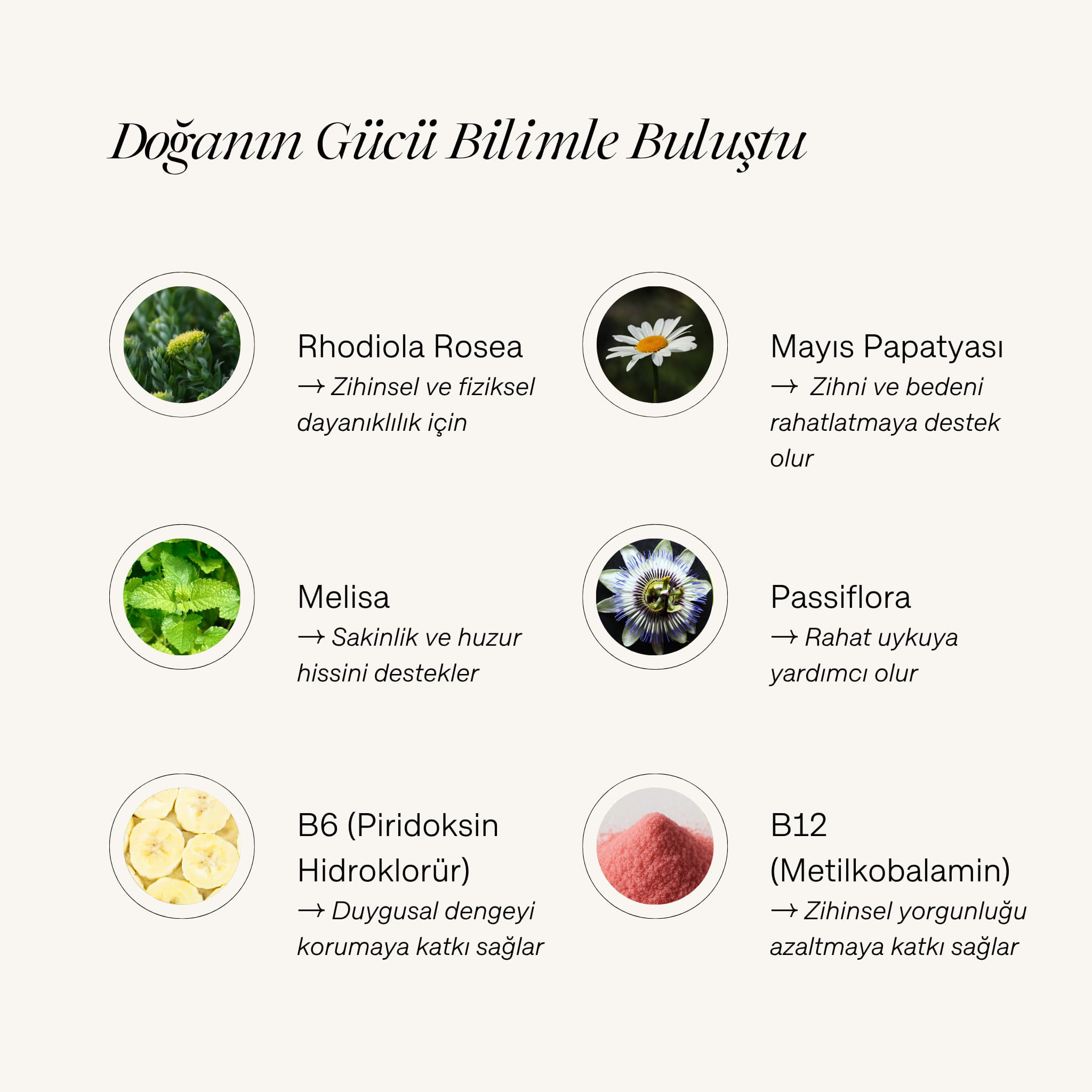 "Doğanın Gücü Bilimle Buluştu" başlıklı içerik infografiği. Görselde Cyrasoul TheChill içerisindeki Rhodiola Rosea, Mayıs Papatyası, Melisa, Passiflora, B6 ve B12 vitaminleri gibi bileşenler ve sakinleştirici faydaları listeleniyor.