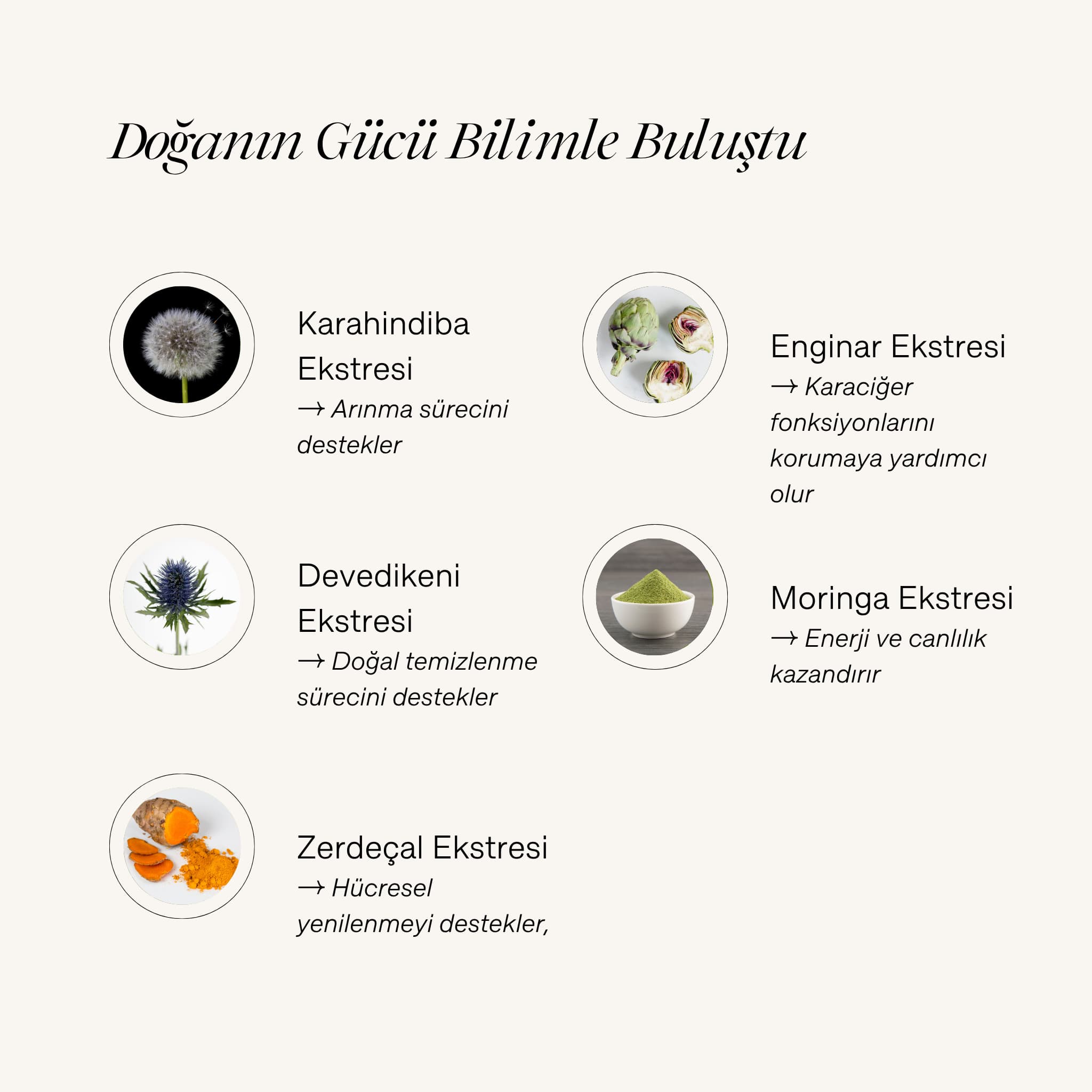 "Doğanın Gücü Bilimle Buluştu" başlıklı içerik infografiği. Görselde Cyrasoul Reset Button içerisindeki Karahindiba, Enginar, Devedikeni, Moringa ve Zerdeçal ekstreleri ile arınma ve yenilenmeye olan faydaları listeleniyor.