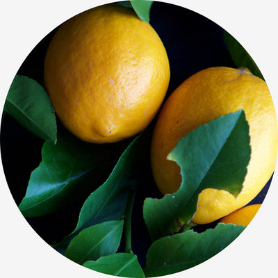 Vitamin C