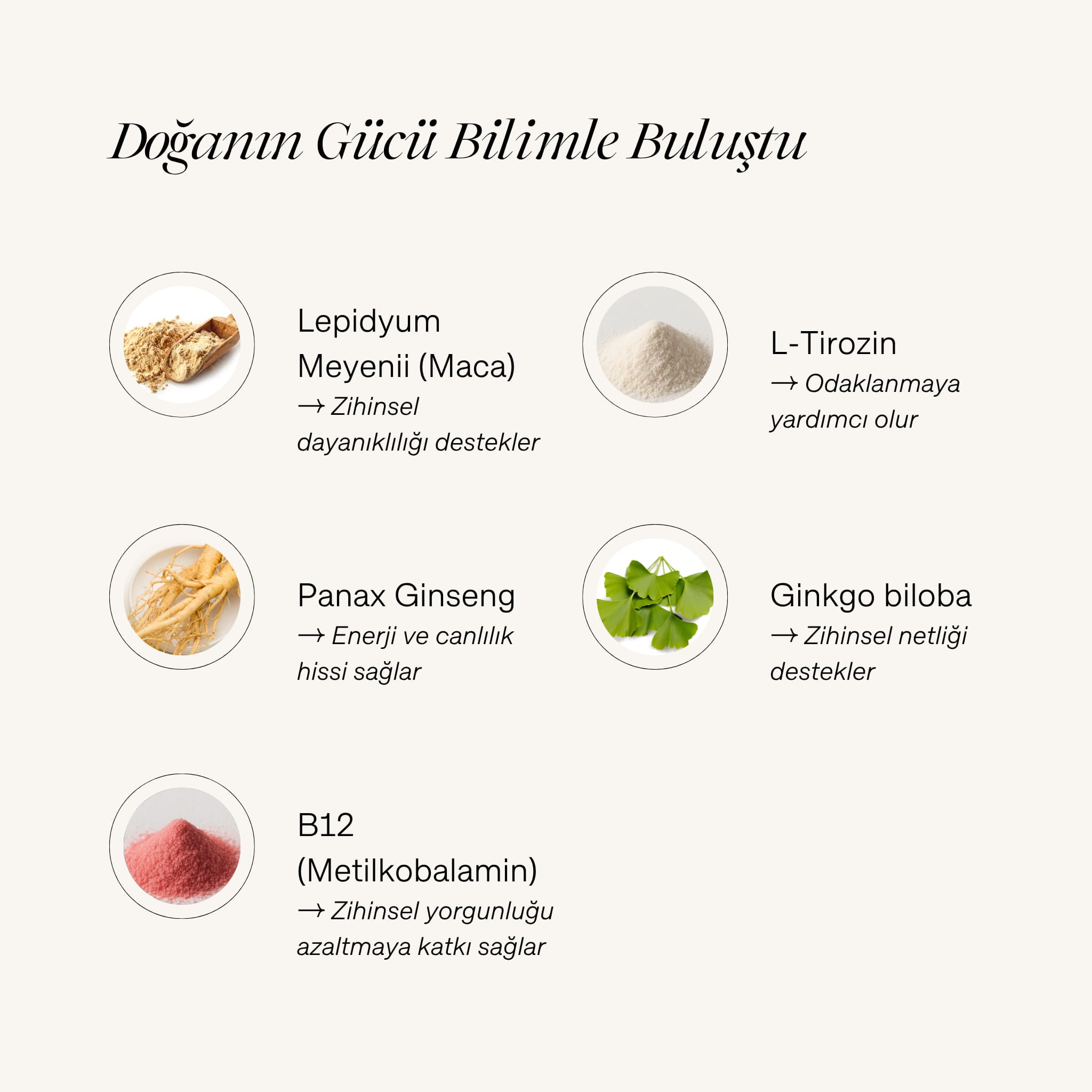 "Doğanın Gücü Bilimle Buluştu" başlıklı içerik infografiği. Görselde Cyrasoul MindFuel içerisindeki Lepidyum Meyenii (Maca), L-Tirozin, Panax Ginseng, Ginkgo biloba ve B12 vitamini gibi bileşenler ve zihinsel performansa faydaları listeleniyor.
